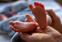 This common berry helps babies bolster their immune system This common berry helps babies bolster their immune system