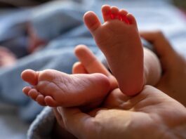 This common berry helps babies bolster their immune system This common berry helps babies bolster their immune system