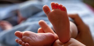 This common berry helps babies bolster their immune system This common berry helps babies bolster their immune system