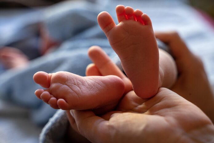 This common berry helps babies bolster their immune system