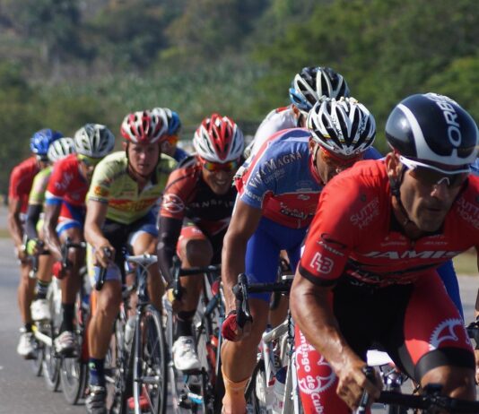 Vingegaard wins Vuelta as final stage abandoned over pro-Palestinian protests Vingegaard wins Vuelta as final stage abandoned