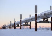 Ukrainian suspected of Nord Stream sabotage arrested in Poland Ukrainian suspected of Nord Stream sabotage arrested in Poland