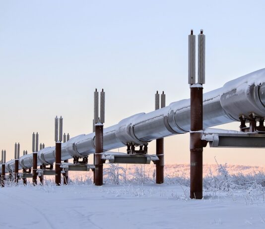Ukrainian suspected of Nord Stream sabotage arrested in Poland Ukrainian suspected of Nord Stream sabotage arrested in Poland