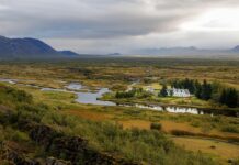 Mosquitoes discovered in Iceland for the first time Mosquitoes discovered in Iceland for the first time