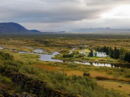 Mosquitoes discovered in Iceland for the first time Mosquitoes discovered in Iceland for the first time