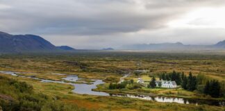 Mosquitoes discovered in Iceland for the first time Mosquitoes discovered in Iceland for the first time