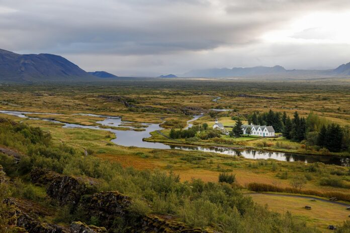 Mosquitoes discovered in Iceland for the first time