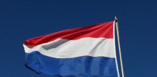 Dutch government takes control of Chinese chip manufacturer Dutch government takes control of Chinese chip manufacturer