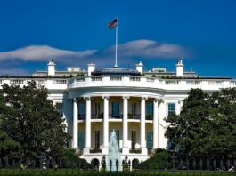 US Treasury considers creating a $1 coin featuring Trump US Treasury considers creating a $1 coin featuring Trump