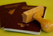 Polish is the language best understood by AI, study finds Polish is the language best understood by AI study finds