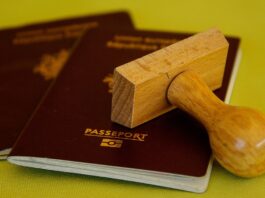 Polish is the language best understood by AI, study finds Polish is the language best understood by AI study finds