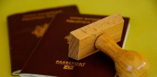 Polish is the language best understood by AI, study finds Polish is the language best understood by AI study finds